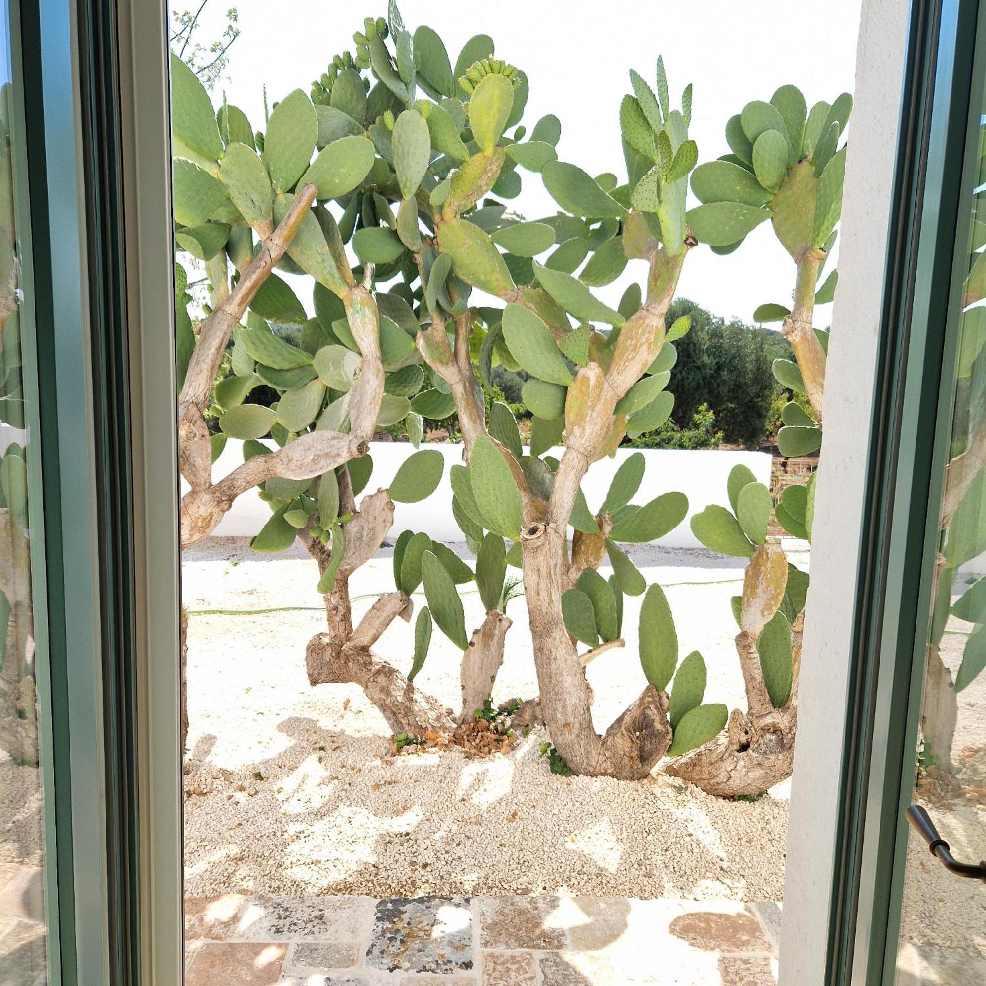 Masseria Paradiso Ostuni Exterior foto